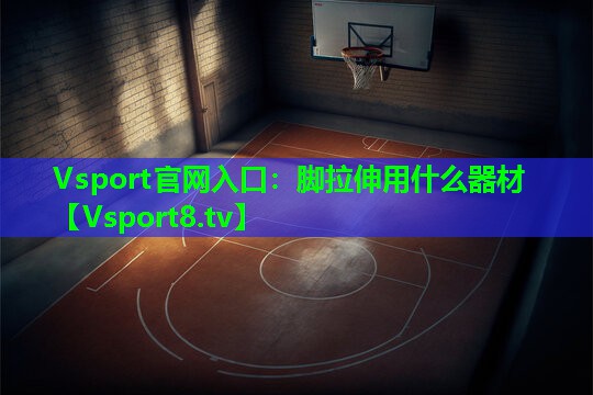 Vsport官网入口：脚拉伸用什么器材