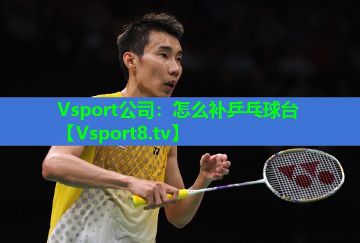 Vsport公司：怎么补乒乓球台