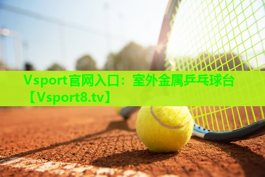 室外金属乒乓球台 室外金属乒乓球台