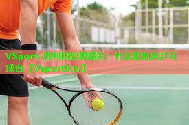 什么是泡沫乒乓球台 什么是泡沫乒乓球台