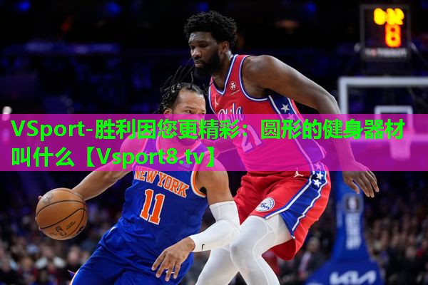 圆形的健身器材叫什么 圆形的健身器材叫什么
