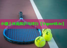 小塘上林苑的乒乓球台